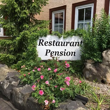 Zum Weissen Ross Hotel Nidda